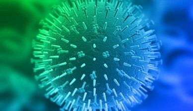 Putevi infekcije humanim papiloma virusom