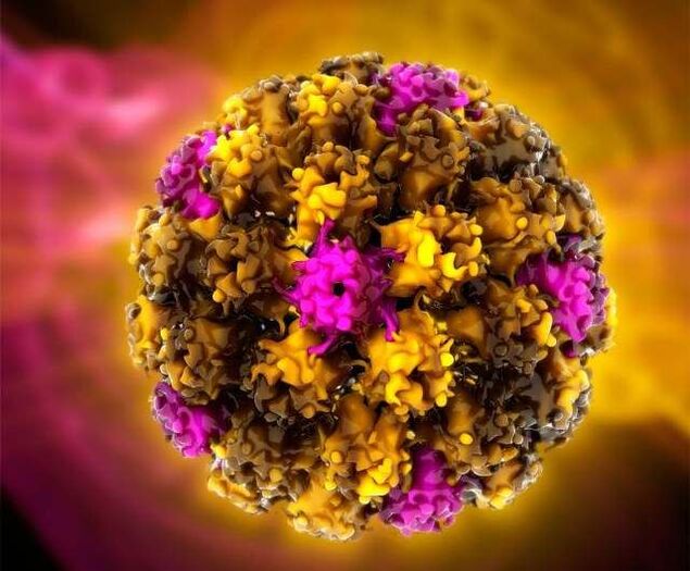 Ljudski papiloma virus