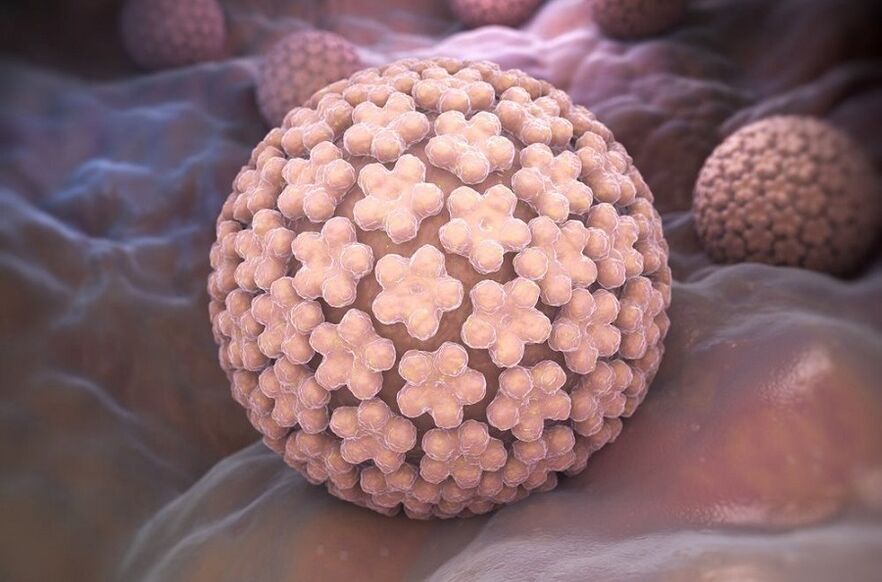ljudski papiloma virus koji uzrokuje bradavice